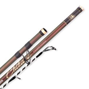 AKAMI CHIKARA competition 33