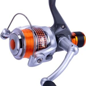 LIT'L FISH VISION RD