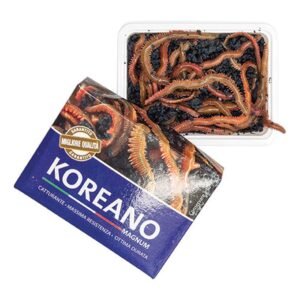 TAKE ME BAITS KOREANO MAGNUM