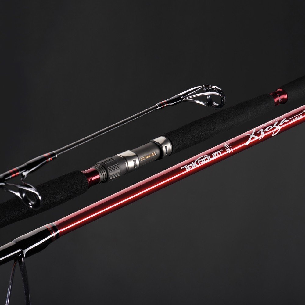 XZOGA TAKADUM TAKA-PI - Slika 2